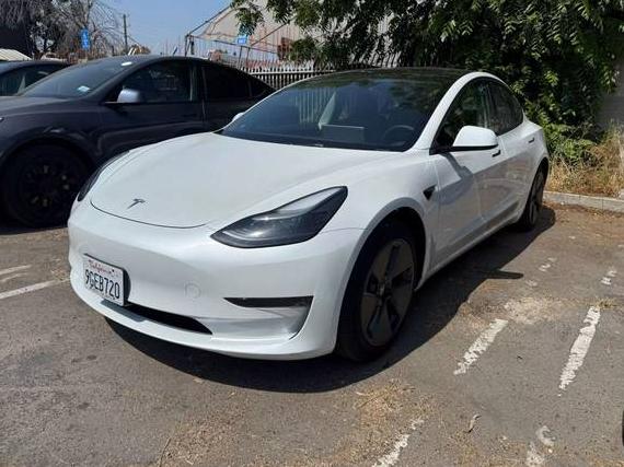 TESLA MODEL 3 2023 5YJ3E1EA5PF569556 image